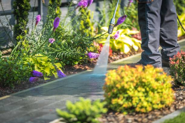 Best Sidewalk and Walkway Pressure Cleaning in Fredericksburg, TX